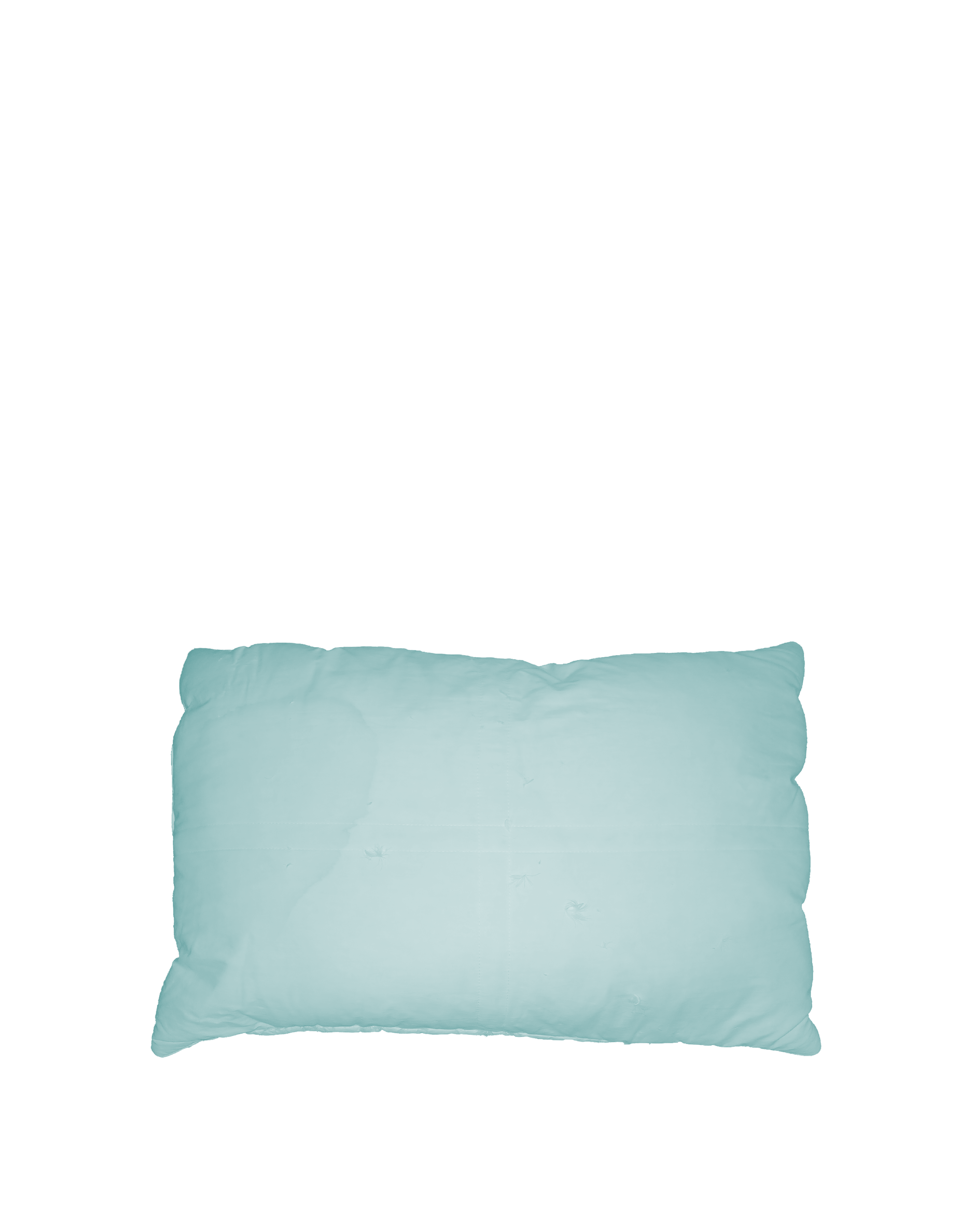 Normal_pillow